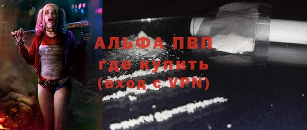 spice Беломорск