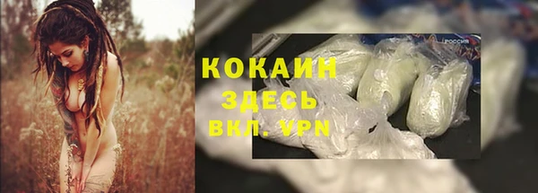 ПСИЛОЦИБИНОВЫЕ ГРИБЫ Белоозёрский
