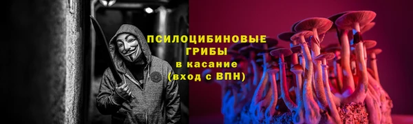 spice Беломорск