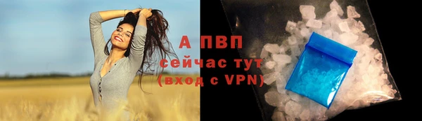 ПСИЛОЦИБИНОВЫЕ ГРИБЫ Белоозёрский