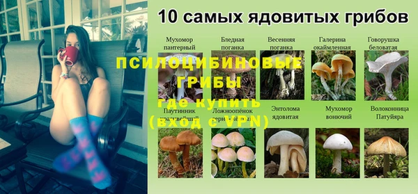 ПСИЛОЦИБИНОВЫЕ ГРИБЫ Белоозёрский
