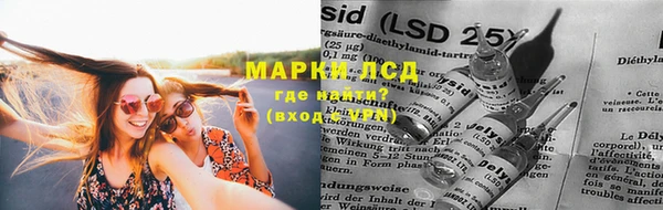 spice Беломорск